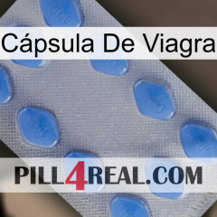 Cápsula De Viagra 21